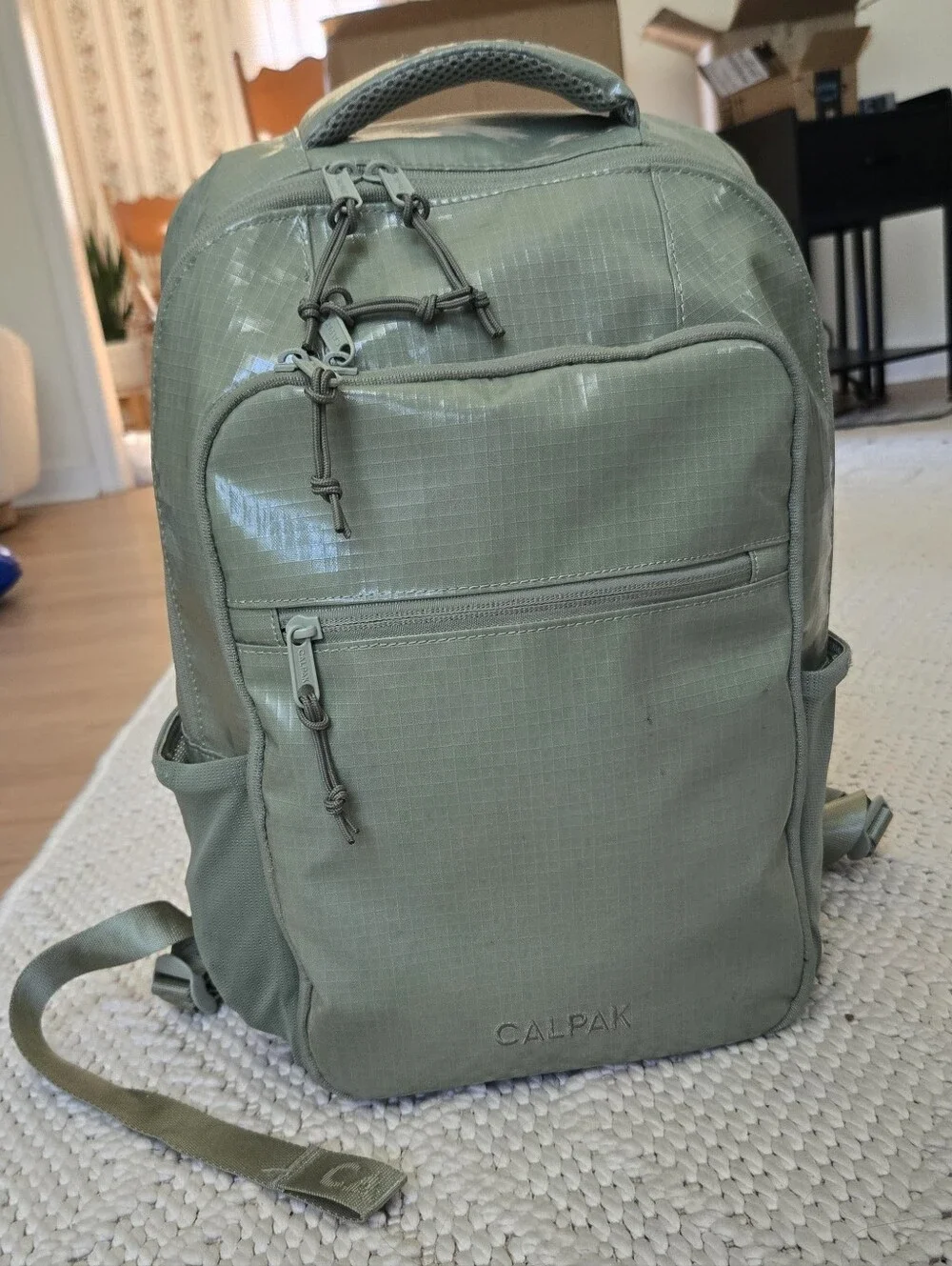 CALPAK Terra Laptop Backpack Green